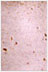 swatch_blue_2