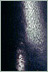 swatch_black_4